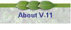 About V-11