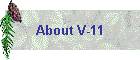 About V-11